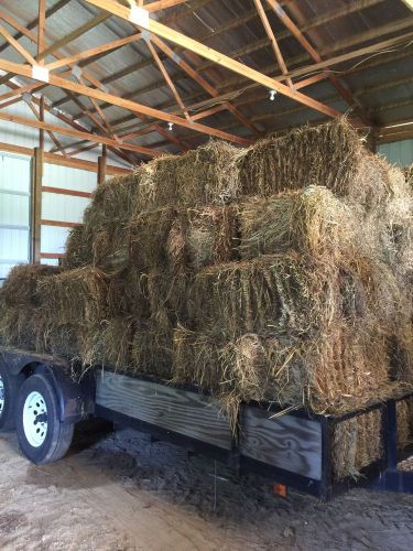 Timothy/clover square bales for sale