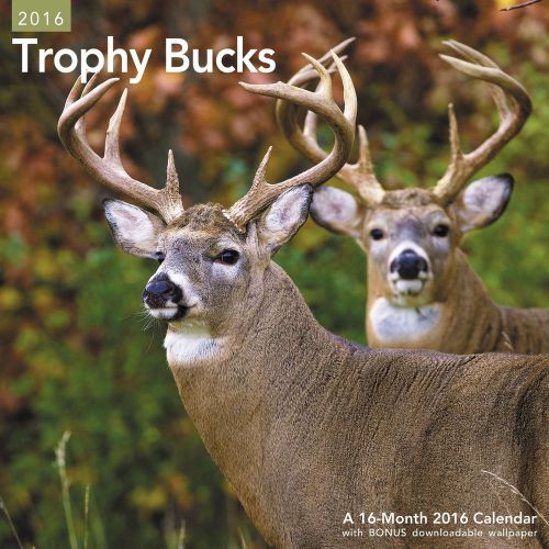 16-Month 2016 TROPHY BUCKS Wall Calendar NEW White Tailed Wildlife Hunting