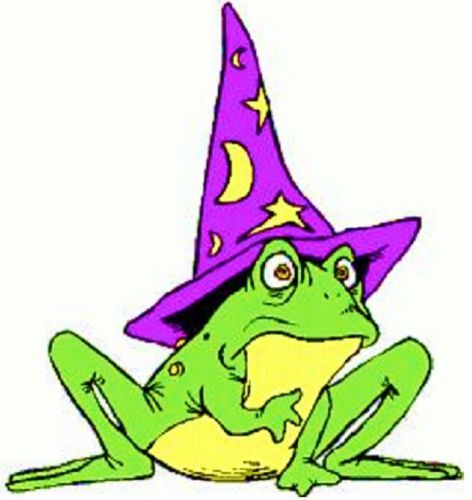 30 Custom Wizard Frog Personalized Address Labels