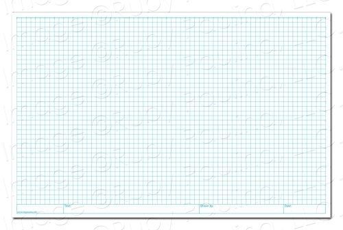 11x17 1/4-Inch Loose Leaf Grid Paper, Pack of 100, White (576183)