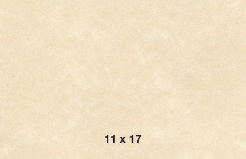 Natural Stationery Parchment Paper, 60 text 11 x 17 Inches, 50 Sheets (Natural)