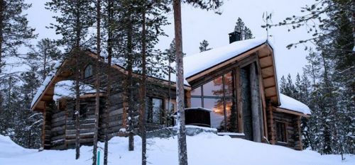 Scandinavian Log Homes for Sale - Silver-Grey Log Home B68