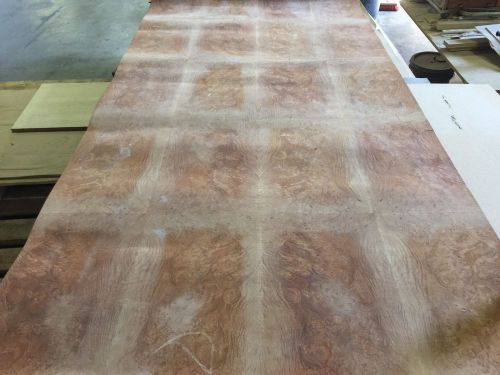 Wood Veneer Maple Burl 48x90 1 Piece 3-Ply Wood Backed &#034;EXOTIC&#034; Burl Area 0960