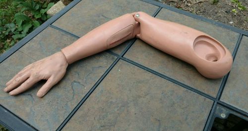Vintage Mannequin Male Right Arm &amp; Hand - Medical Dummy