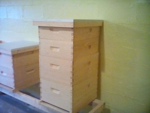 Complete 10 frame Langston beehive