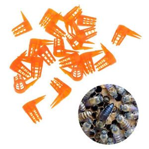 20Pcs/Set Bee Queen Cell Cover Beekeeping Tool Beekeeper Plastic Cage Protect dw