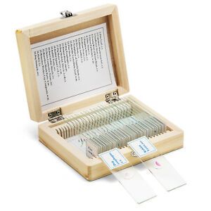Biology Glass Prepared Microscope Slides Lab Specimens Slide Wooden Storage Box