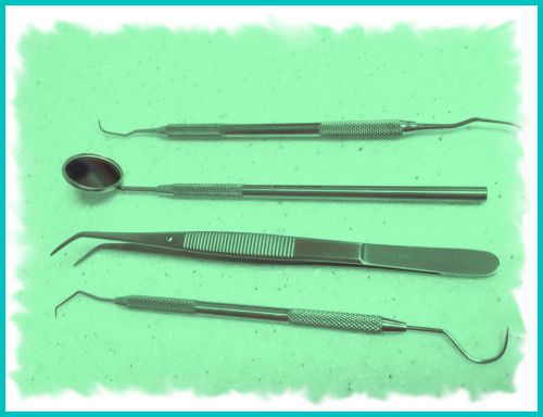 Dental Tarter Scraper and Remover Set Surgical Dental Instruments      LUK :)