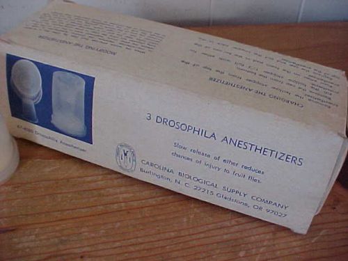 3 drosophila anesthetizers fruit flies related carolina biological supply ether for sale