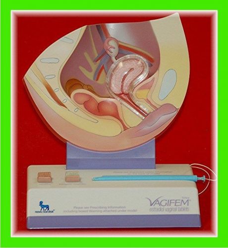 Female Pelvic Anatomical Model of Uterus,Cervix,Vagina,Ovaries,Bladder &amp; Rectum