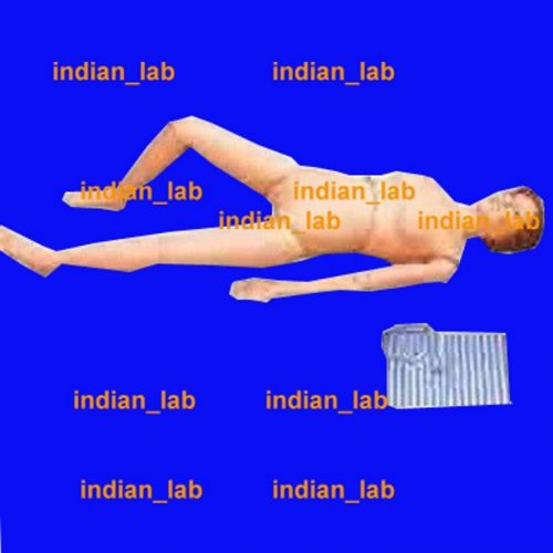 Nursing manikin anatomical human model excellent quality   nmahm0786 for sale