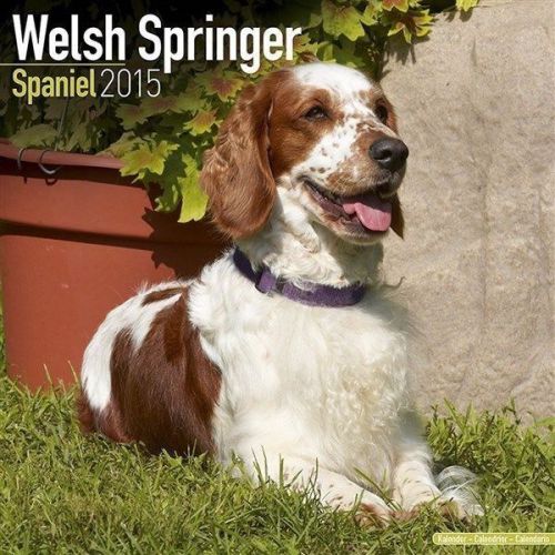 NEW 2015 Welsh Springer Spaniel Wall Calendar by Avonside- Free Priority Shippin