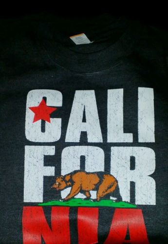 CALIFORNIA REPUBLIC DISTRESSED FINISH 3 PACK - PLASTISOL HEAT PRESS TRANSFERS