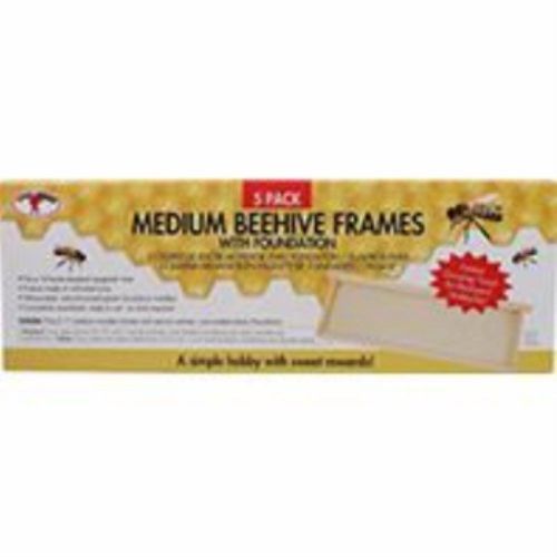 Bee Hive Honey Frames Natural Pine Medium-5 Pack