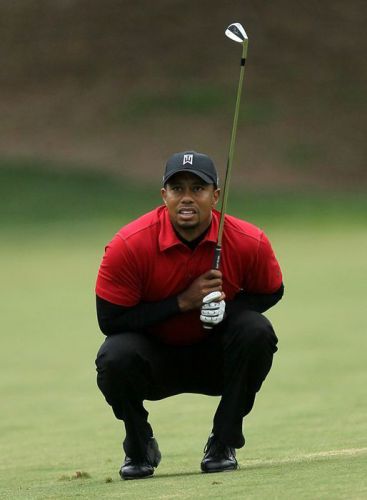 Tiger Woods ~ 18x24 New High Quality POSTER  [01335]