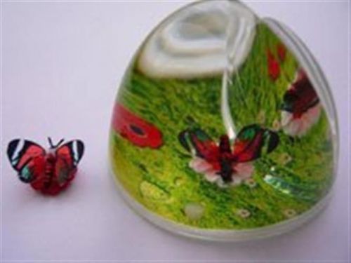 PAGE-UP BUTTERFLY RED GLASSWNG