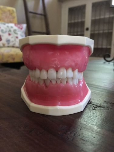 Kilgore-nissin-dental-study-model-p15dp-tr-56c-typodont for sale