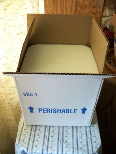 Styrofoam Insulated Shipping Cooler Container 8 1/4&#034;L x 7 1/4&#034; W x 7 3/4&#034; H