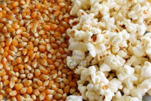 Fancy Farms Premium Theater Quality Popcorn-Case