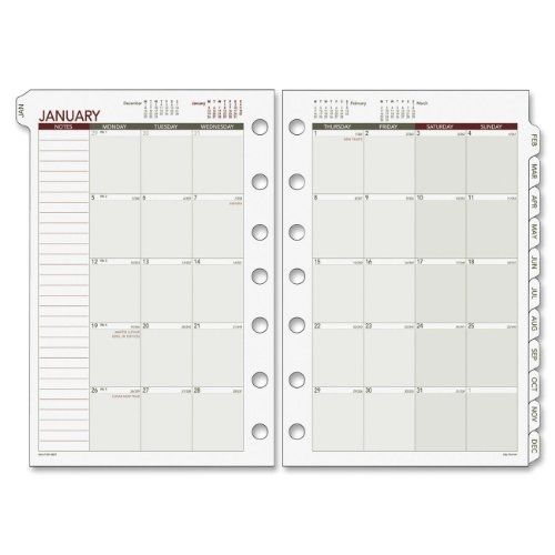 Day Runner 2015 Monthly Planner Calendar Refill, 5.5 x 8.5 Inches (061-685Y)