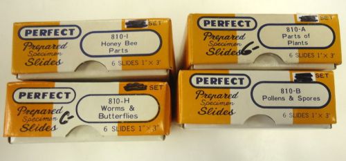 VINTAGE PERFECT PREPARED SPECIMEN SLIDES, HONEY BEE PARTS, WORMS &amp; BUTTERFLY