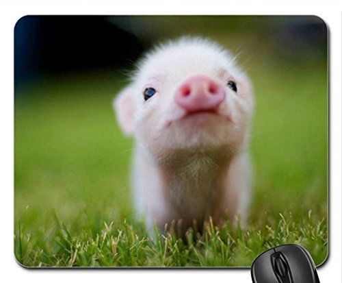 Rock bull baby pig mouse pad, mousepad for sale