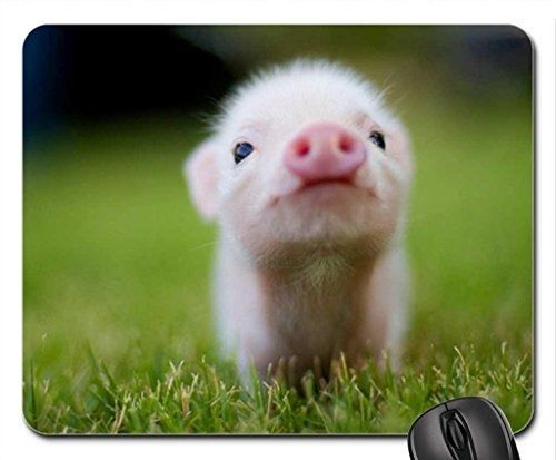 Rock Bull baby pig Mouse Pad, Mousepad