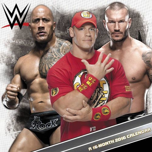 2016 16-Month WWE Wall Calendar NEW Wrestling John Cena Seth Rollins The Rock