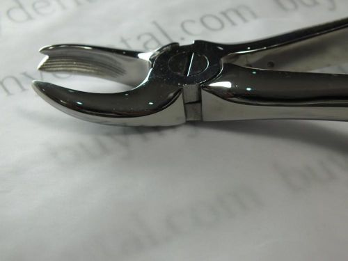 2 Forceps Upper Molor Right No.89 Golden ADDLER German Stainless