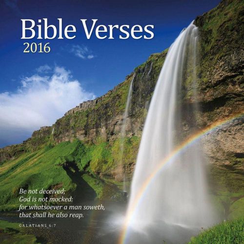 2016 Bible Verses 12&#034; x 12&#034; Wall Calendars NEW Wells Street by Lang