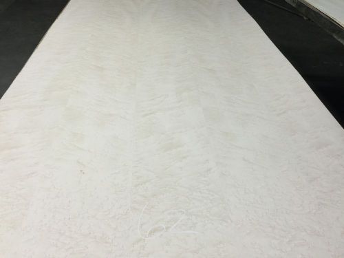 Wood Veneer Birdseye Maple 48x80 1pc total Wood Backed  &#034;EXOTIC&#034; TNA 62