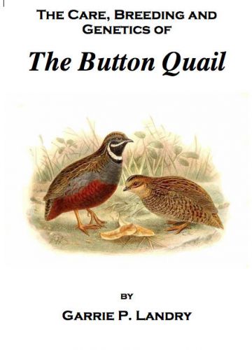 Care Breeding &amp; Genetics of the Button quail COVERS ALL COLOR VARIETIES OF QUAIL