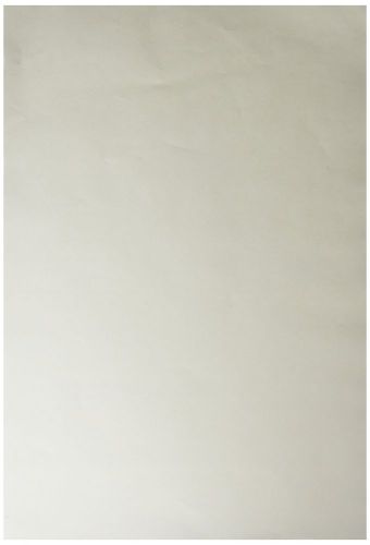 School smart 60 pound finger paint paper - 11 x 16 inches - pack of 100 - white for sale