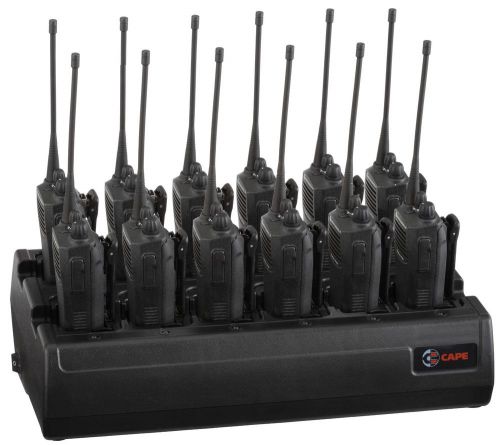 1 x CP200 CP200D   12 WAY Multi Charger