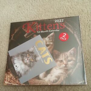 New!!! 2022 Kittens  12 Month Calendar 1112 w/Cats Bonus Mini