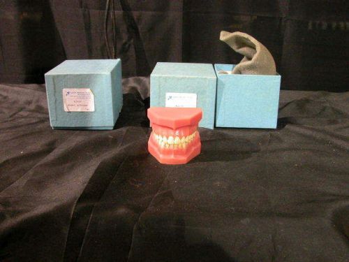 Lot of 2 Viade Products # 2009 Flexible Dental Model W / Hinge