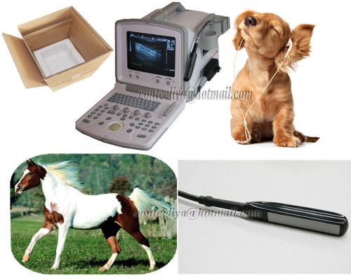 Vet veterinary use portable ultrasound scanner system with rectal probe 12.1 for sale