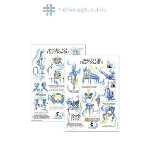 Franklin method imagery for pelvic power i &amp; ii poster set colorful for sale