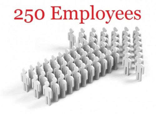 AMG Employee Attendance Software | 250 Employee Upgrade