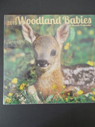 2015 16 Month Woodland Babies 11&#034;x 12&#034; Closed Wall Calendar NEW &amp; SEALED