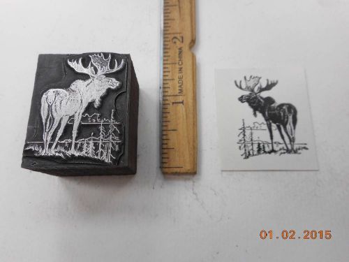 Printing Letterpress Printers Block, Bull Moose w Antlers above Pine Trees
