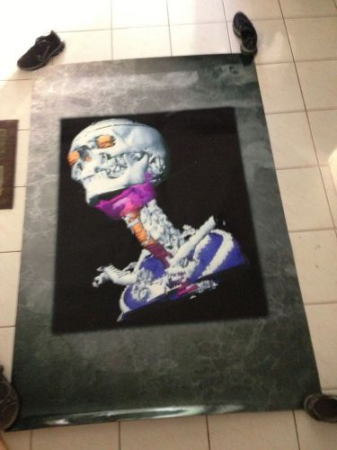 3d rendering Skull GLOSSY print 4 ft by 6 ft approx! HUGE; great shape; unused!