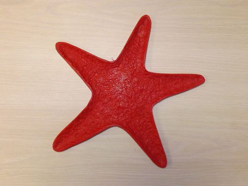 Starfish Concrete Stamp