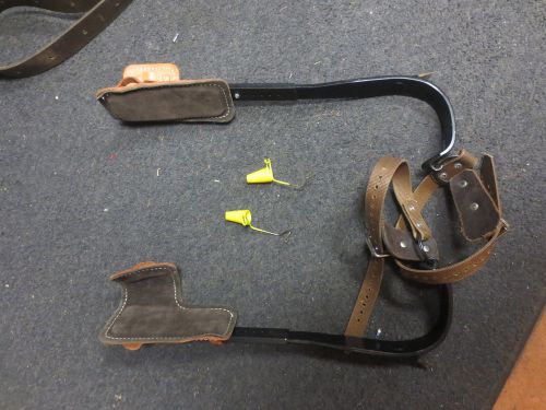 Buckingham pole spike and safety harnest for sale