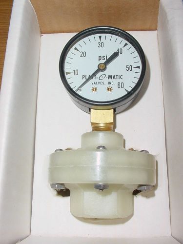 Plast-O-Matic Gauge Guard &amp; Pressure Gauge GGMV060-PP NEW