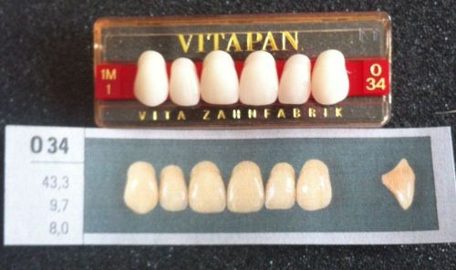 Vitapan Denture Teeth    034    1M1