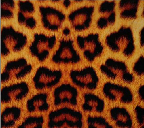 Hydrographic Film Water Transfer Hydrodipping Hydrodip A88 Leopard Fur Print