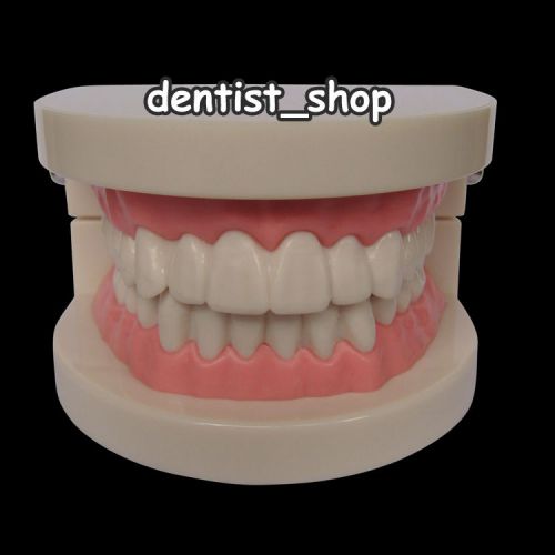 Dental Dentist Flesh Pink Gums Standard Teeth Tooth Teach Model Free Ship