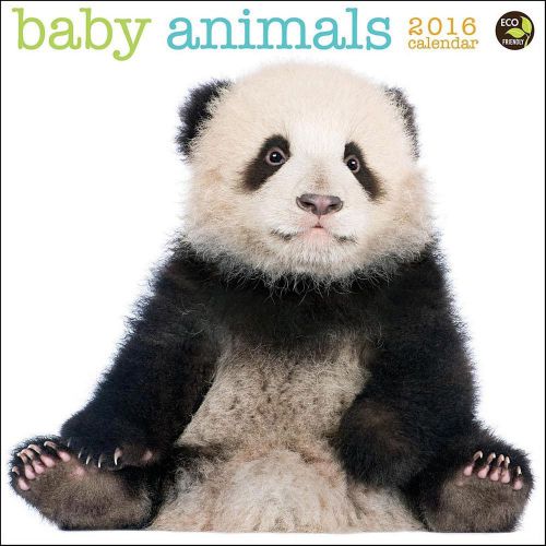 2016 Baby Animals 12&#034; x 12&#034; Wall Calendars NEW TF Publishing