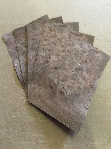 Wood veneer carpathian elm burl 8x12 10pc total raw veneer&#034;exotic&#034;carp3 10-13-15 for sale